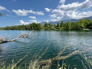 Eski Ren, Diepoldsau - İsviçre (Vorfruehlings Stimmung im Natur- und Landschaftsschutzgebiet Alter Rhein, Schweiz)