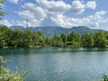 Eski Ren, Diepoldsau - İsviçre (Vorfruehlings Stimmung im Natur- und Landschaftsschutzgebiet Alter Rhein, Schweiz)