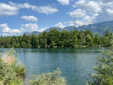 Eski Ren, Diepoldsau - İsviçre (Vorfruehlings Stimmung im Natur- und Landschaftsschutzgebiet Alter Rhein, Schweiz)