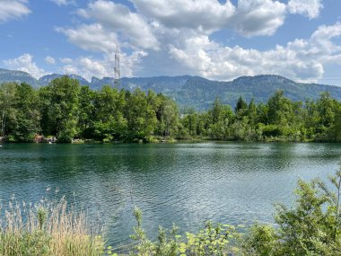 Eski Ren, Diepoldsau - İsviçre (Vorfruehlings Stimmung im Natur- und Landschaftsschutzgebiet Alter Rhein, Schweiz)