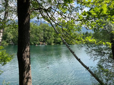 Eski Ren, Diepoldsau - İsviçre (Vorfruehlings Stimmung im Natur- und Landschaftsschutzgebiet Alter Rhein, Schweiz)