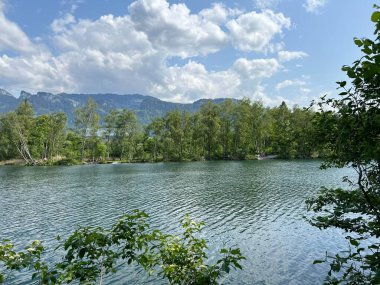 Eski Ren, Diepoldsau - İsviçre (Vorfruehlings Stimmung im Natur- und Landschaftsschutzgebiet Alter Rhein, Schweiz)