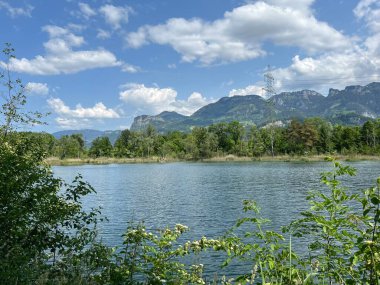 Eski Ren, Diepoldsau - İsviçre (Vorfruehlings Stimmung im Natur- und Landschaftsschutzgebiet Alter Rhein, Schweiz)