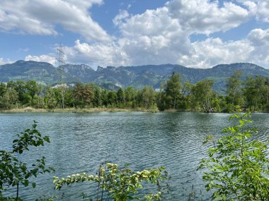 Eski Ren, Diepoldsau - İsviçre (Vorfruehlings Stimmung im Natur- und Landschaftsschutzgebiet Alter Rhein, Schweiz)