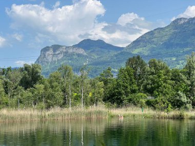 Eski Ren, Diepoldsau - İsviçre (Vorfruehlings Stimmung im Natur- und Landschaftsschutzgebiet Alter Rhein, Schweiz)