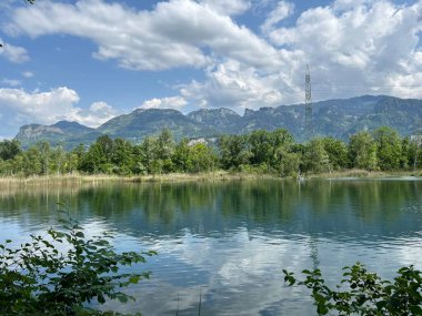 Eski Ren, Diepoldsau - İsviçre (Vorfruehlings Stimmung im Natur- und Landschaftsschutzgebiet Alter Rhein, Schweiz)