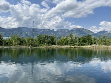 Eski Ren, Diepoldsau - İsviçre (Vorfruehlings Stimmung im Natur- und Landschaftsschutzgebiet Alter Rhein, Schweiz)