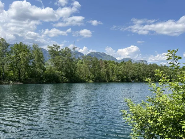 Ambiente Verano Zona Protección Naturaleza Paisaje Antiguo Rin Diepoldsau Suiza —  Fotos de Stock