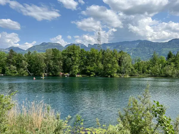 自然と景観保護地域の夏の雰囲気旧ライン Diepoldsau スイス Vorfreuhings Stimmung Natur Und Landschaftsschutzgebiet Alter Lein — ストック写真