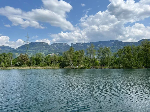 Atmosfera Verão Área Proteção Natureza Paisagem Old Rhine Diepoldsau Suíça — Fotografia de Stock