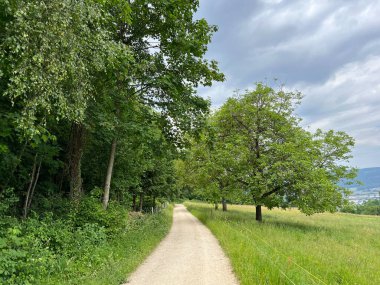 Spor ve eğlence yolları veya yürüyüş ve orman yolları, Regensdorf - İsviçre (Wege fuer Sport und Erholung oder Waldwege zum Wandern und Spazierengehen - Schweiz)