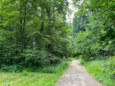 Spor ve eğlence yolları veya yürüyüş ve orman yolları, Regensdorf - İsviçre (Wege fuer Sport und Erholung oder Waldwege zum Wandern und Spazierengehen - Schweiz)