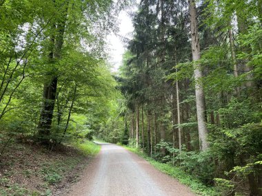 Spor ve eğlence yolları veya yürüyüş ve orman yolları, Regensdorf - İsviçre (Wege fuer Sport und Erholung oder Waldwege zum Wandern und Spazierengehen - Schweiz)