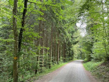 Spor ve eğlence yolları veya yürüyüş ve orman yolları, Regensdorf - İsviçre (Wege fuer Sport und Erholung oder Waldwege zum Wandern und Spazierengehen - Schweiz)