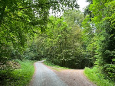 Spor ve eğlence yolları veya yürüyüş ve orman yolları, Regensdorf - İsviçre (Wege fuer Sport und Erholung oder Waldwege zum Wandern und Spazierengehen - Schweiz)