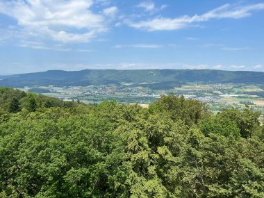 Altberg gözlem kulesindeki panorama ya da Altberg Gözlem Noktası 'ndaki manzara (Dallikon) - İsviçre (Panorama vom Aussichtsturm Altberg, Schweiz)