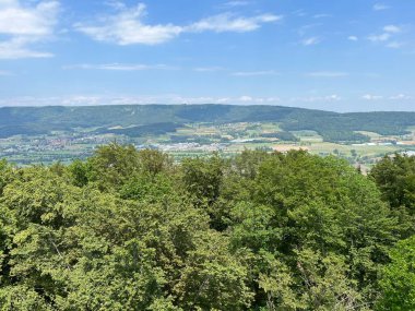 Altberg gözlem kulesindeki panorama ya da Altberg Gözlem Noktası 'ndaki manzara (Dallikon) - İsviçre (Panorama vom Aussichtsturm Altberg, Schweiz)