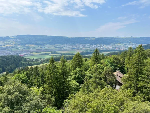 Panorama Vom Aussichtsturm Altberg Oder Landschaft Vom Aussichtspunkt Altberg Daellikon — Stockfoto