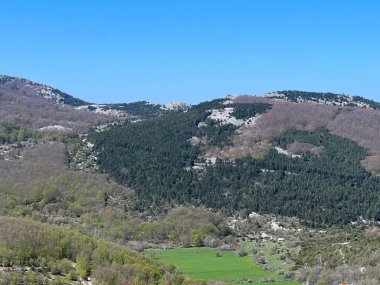 Velebit Dağı 'nın yamaçlarında ve Kvarner' in yukarısındaki karışık dağ ormanlarında (Rano proljece na padinama planine Velebit i planinske mijesane sume nad Kvarnerom - Hrvatska)