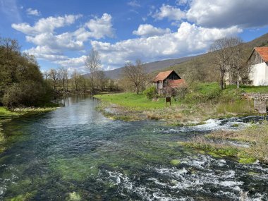 Tonkovic vrilo 'dan hemen sonra Gacka nehrinin akışı veya Tonkovic vrilo' nun kaynağının altındaki Gacka nehri (Tok rijeke Gacke neposredno nakon Tonkovic vrila, Sinac - Hrvatska)