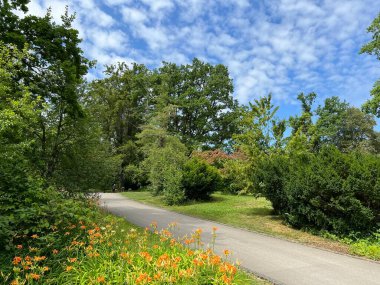 Nordheim Mezarlığı Parkı veya Parkı - Park des Nordheimer Friedhofs oder Friedhofspark Nordheim - Zürih veya Zuerich, İsviçre / Schweiz