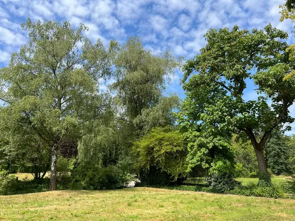 Nordheim Mezarlığı Parkı veya Parkı - Park des Nordheimer Friedhofs oder Friedhofspark Nordheim - Zürih veya Zuerich, İsviçre / Schweiz