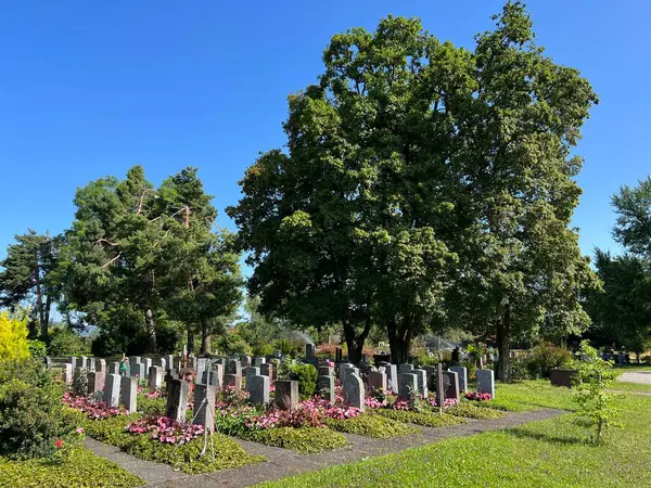 Cimitero Affoltern Cimitero Affoltern Cimetiere Affoltern Oder Friedhof Affoltern Zurigo — Foto Stock