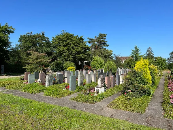 Affolterner Friedhof Oder Cimetiere Affoltern Oder Friedhof Affoltern Zürich Oder — Stockfoto