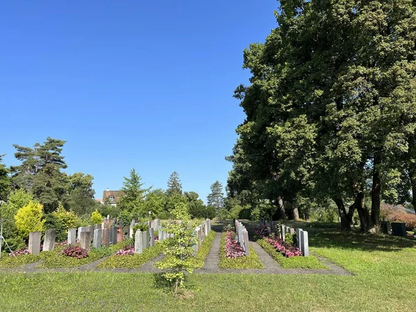 Affoltern Mezarlığı Affoltern Mezarlığı Veya Cimetiere Affoltern Oder Friedhof Affoltern — Stok fotoğraf