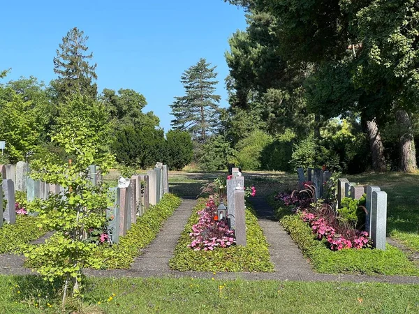 Cemitério Affoltern Cemitério Affoltern Cimetiere Affoltern Oder Friedhof Affoltern Zurique — Fotografia de Stock