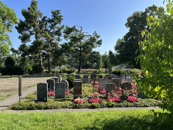 Affoltern Mezarlığı Affoltern Mezarlığı Veya Cimetiere Affoltern Oder Friedhof Affoltern - Stok İmaj
