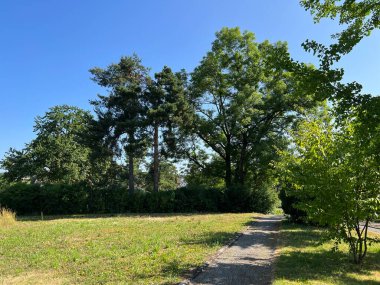 Affoltern Mezarlığı Parkı veya Mezarlık Afoltern Oder Friedhofspark Affoltern - Zürih veya Zuerich, İsviçre / Schweiz