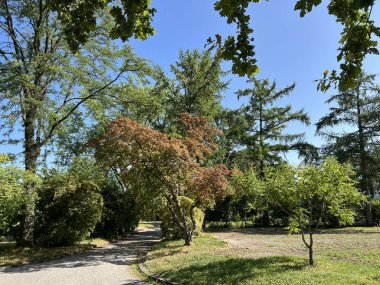 Affoltern Mezarlığı Parkı veya Mezarlık Afoltern Oder Friedhofspark Affoltern - Zürih veya Zuerich, İsviçre / Schweiz