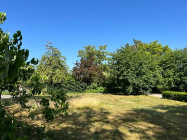 Affoltern Mezarlığı Parkı veya Mezarlık Afoltern Oder Friedhofspark Affoltern - Zürih veya Zuerich, İsviçre / Schweiz