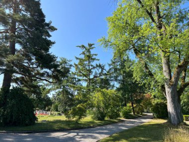 Affoltern Mezarlığı Parkı veya Mezarlık Afoltern Oder Friedhofspark Affoltern - Zürih veya Zuerich, İsviçre / Schweiz