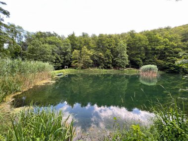 Park ormanlarındaki yapay göller Jankovac - Papuk doğa parkı, Hırvatistan (Umjetna jezera u Park sumi Jankovac - Park, Papuk, Hrvatska)