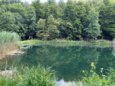 Park ormanlarındaki yapay göller Jankovac - Papuk doğa parkı, Hırvatistan (Umjetna jezera u Park sumi Jankovac - Park, Papuk, Hrvatska)