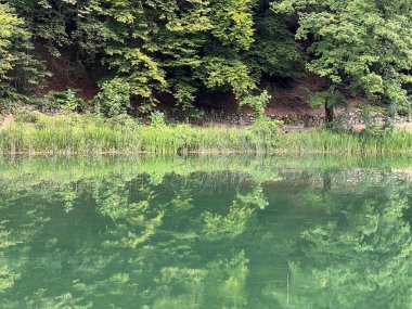 Park ormanlarındaki yapay göller Jankovac - Papuk doğa parkı, Hırvatistan (Umjetna jezera u Park sumi Jankovac - Park, Papuk, Hrvatska)