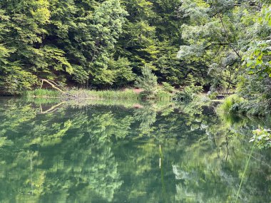 Park ormanlarındaki yapay göller Jankovac - Papuk doğa parkı, Hırvatistan (Umjetna jezera u Park sumi Jankovac - Park, Papuk, Hrvatska)