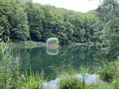 Park ormanlarındaki yapay göller Jankovac - Papuk doğa parkı, Hırvatistan (Umjetna jezera u Park sumi Jankovac - Park, Papuk, Hrvatska)