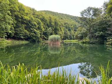 Park ormanlarındaki yapay göller Jankovac - Papuk doğa parkı, Hırvatistan (Umjetna jezera u Park sumi Jankovac - Park, Papuk, Hrvatska)