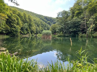 Park ormanlarındaki yapay göller Jankovac - Papuk doğa parkı, Hırvatistan (Umjetna jezera u Park sumi Jankovac - Park, Papuk, Hrvatska)