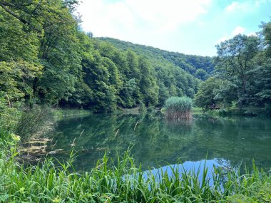 Park ormanlarındaki yapay göller Jankovac - Papuk doğa parkı, Hırvatistan (Umjetna jezera u Park sumi Jankovac - Park, Papuk, Hrvatska)