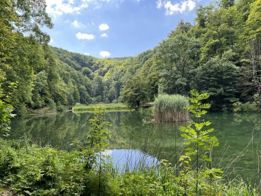 Park ormanlarındaki yapay göller Jankovac - Papuk doğa parkı, Hırvatistan (Umjetna jezera u Park sumi Jankovac - Park, Papuk, Hrvatska)
