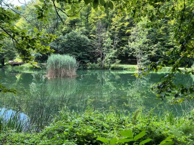 Park ormanlarındaki yapay göller Jankovac - Papuk doğa parkı, Hırvatistan (Umjetna jezera u Park sumi Jankovac - Park, Papuk, Hrvatska)