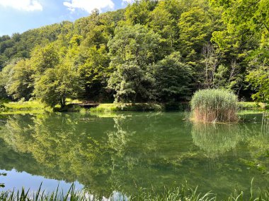 Park ormanlarındaki yapay göller Jankovac - Papuk doğa parkı, Hırvatistan (Umjetna jezera u Park sumi Jankovac - Park, Papuk, Hrvatska)