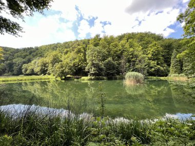 Park ormanlarındaki yapay göller Jankovac - Papuk doğa parkı, Hırvatistan (Umjetna jezera u Park sumi Jankovac - Park, Papuk, Hrvatska)