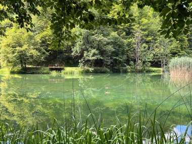 Park ormanlarındaki yapay göller Jankovac - Papuk doğa parkı, Hırvatistan (Umjetna jezera u Park sumi Jankovac - Park, Papuk, Hrvatska)