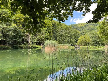 Park ormanlarındaki yapay göller Jankovac - Papuk doğa parkı, Hırvatistan (Umjetna jezera u Park sumi Jankovac - Park, Papuk, Hrvatska)