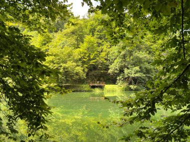 Park ormanlarındaki yapay göller Jankovac - Papuk doğa parkı, Hırvatistan (Umjetna jezera u Park sumi Jankovac - Park, Papuk, Hrvatska)